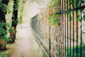 Zaunanlage bauen